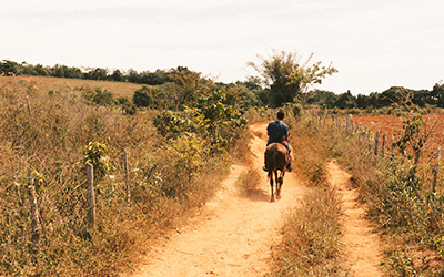 Persona cabalgando por un camino de tierra.