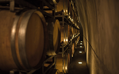 Imagen de las barricas donde se almacena el vino producido en las bodegas de Mendoza, Argentina.
