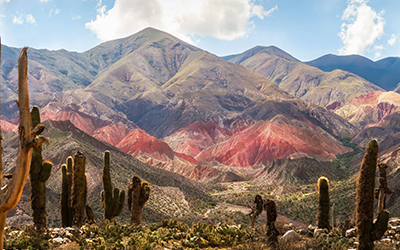 Imagen panoramica de los coloridos cerros y la flora del Norte Argentino.