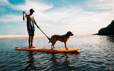 Imagen de una persona prácticando palet surf con su perro sobre la tabla, con el fondo de del mar en Imbassaí.